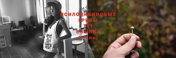 COCAINE Инсар