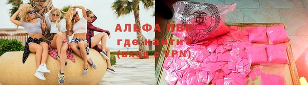 гашик Иннополис