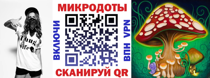 Псилоцибиновые грибы GOLDEN TEACHER  Купить закладки  Новосокольники 