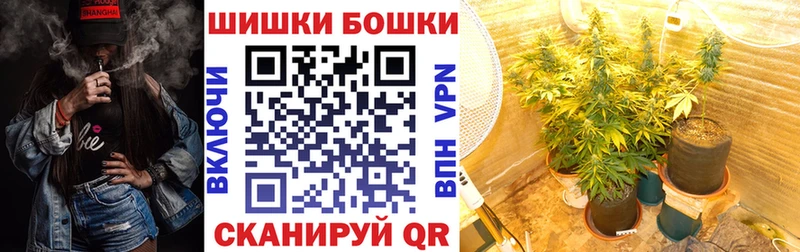 Бошки марихуана гибрид  Купить закладки  Новосокольники 